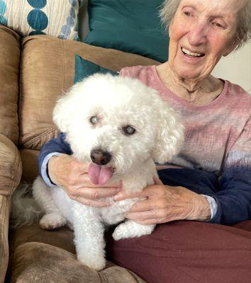 Sandy Tails Mobile Grooming