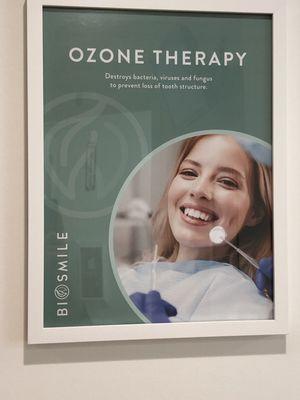 Lorene Catala Boisvert, DDS - BioSmile Dentistry