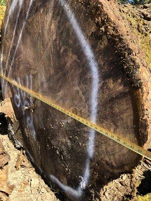 Kasters Kustom Cutting