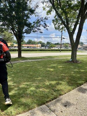 M & M Landscaping And Tree Trimming