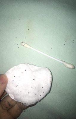 Feces and smaller bed bugs