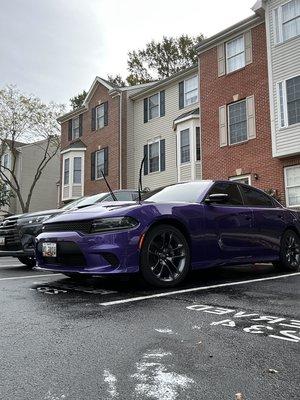 Spotless Specialties