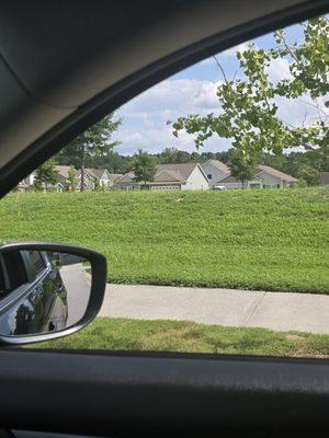 CAMS Community Association Management