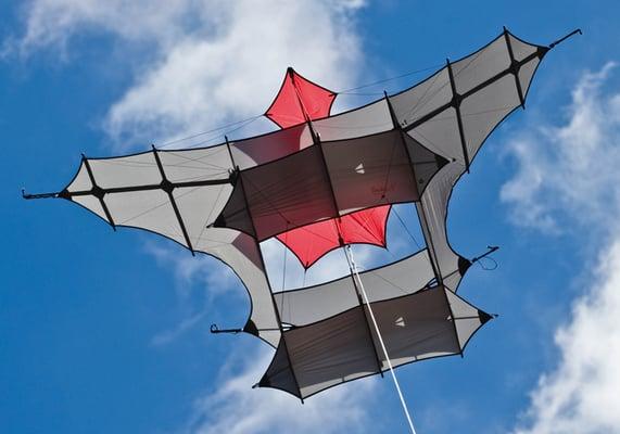 Come enjoy a show in the sky by Highline Kites made famous at Berkeley Kite Festival at A Day On The Water 2