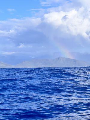 Island Rentals & Real Estate