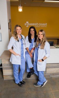 Dr. Gibbings, Dr. Camacho, Dr. Benitez