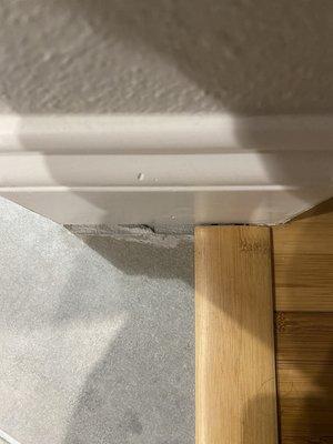 Ultimate Carpet Care