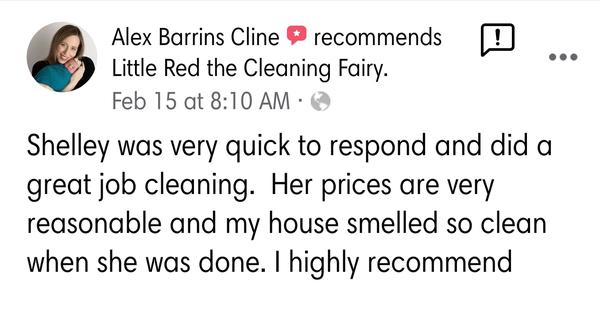 Little Red The Cleaning Fairy