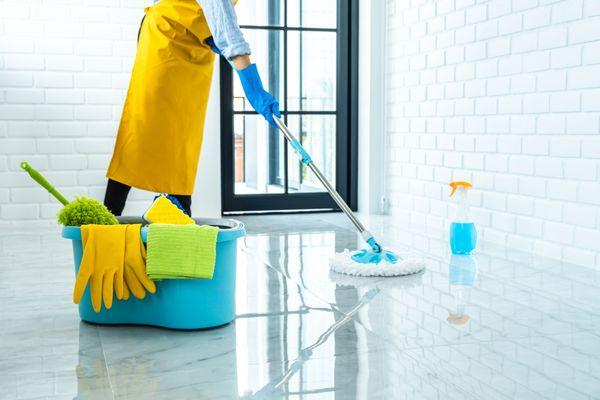Wize Life Professional Cleaning Services
