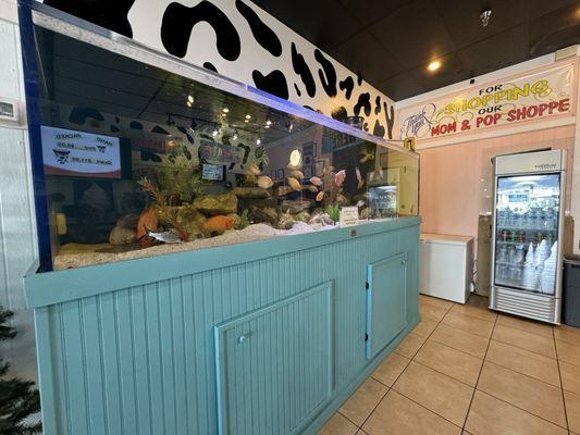 Holy Cow Ice Cream Shop