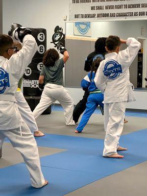 Martial Arts Kata training