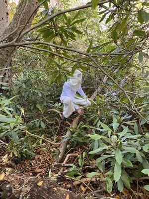 "Maudslay is Haunted"