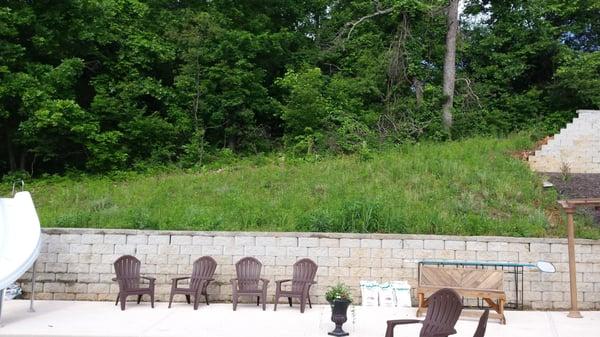 Soaking Up The Son Yard Service