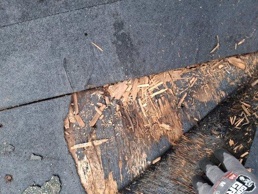 Elevation Roofing & Concrete