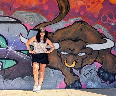 Rancho Buena Vista High School