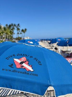 Dive Oahu & Surf