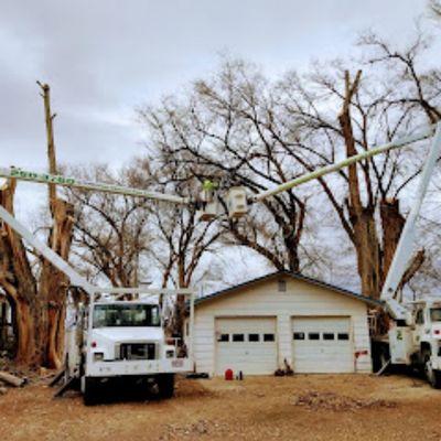 Four Seasons Tree Care