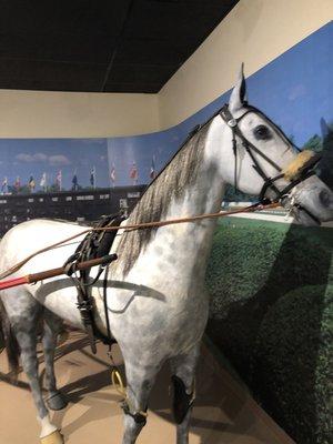 Harness Racing Museum & Hall of Fame