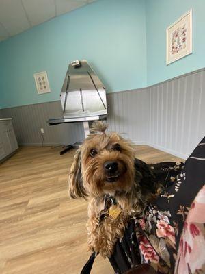 Heritage Animal Clinic