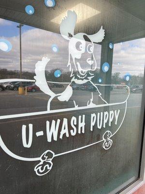 U Wash Puppy