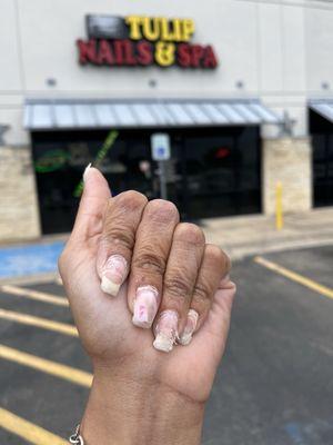 Tulip Nail & Spa