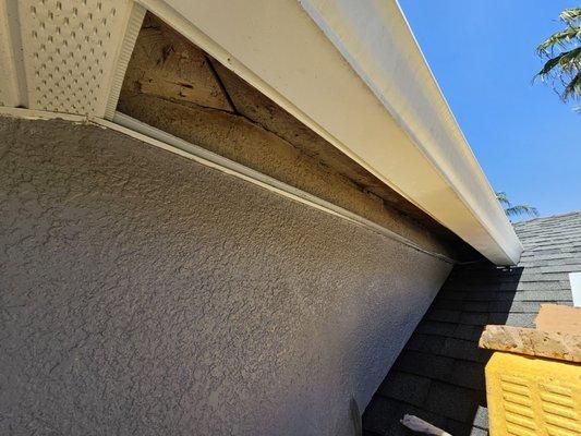 Affordable Critter Solutions