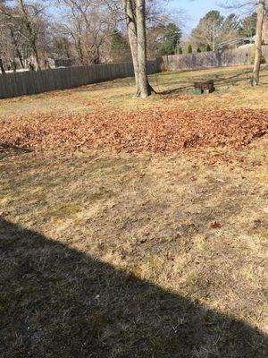 Alvarado Lansdcaping