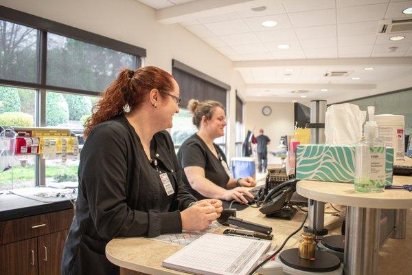 The Blood Connection