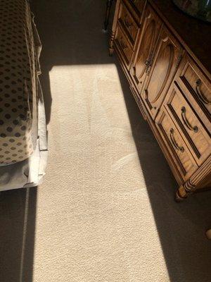 24/7 Carpet Cleaning