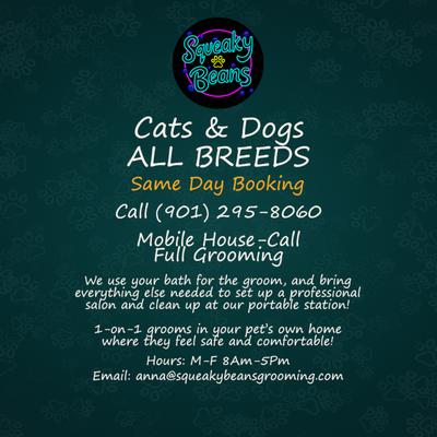 Squeaky Beans Grooming
