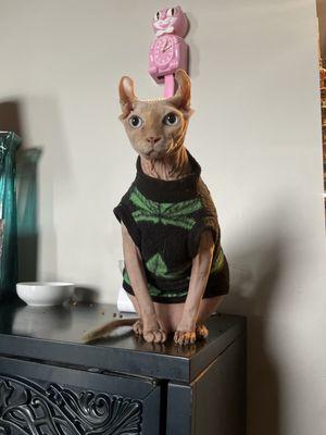 Platte Woods Animal Hospital