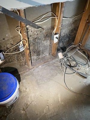 FDP Mold Remediation of Newark