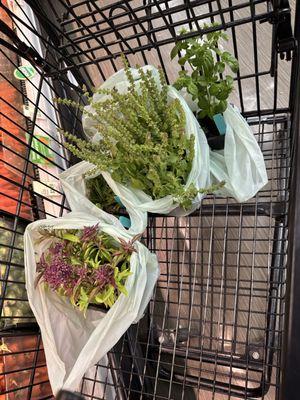 Ukiah Natural Foods Co-op