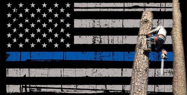 David's Tree Service