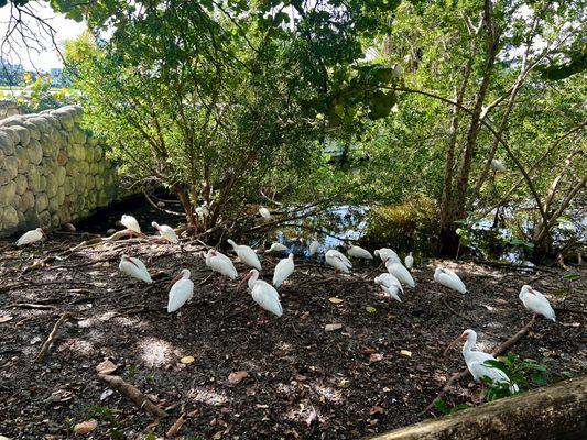 Don Soffer Exercise Trail