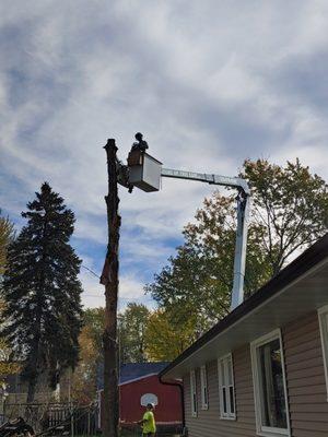Ground Up Tree Care