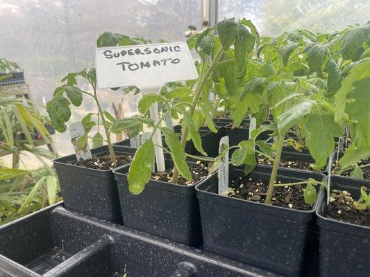 Mikes Growers Outlet