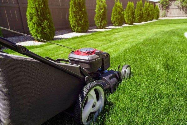 Lawn & Outdoor Cleaning