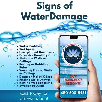 Lotus Restoration Services