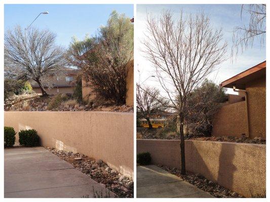 Badger Brothers Tree Service