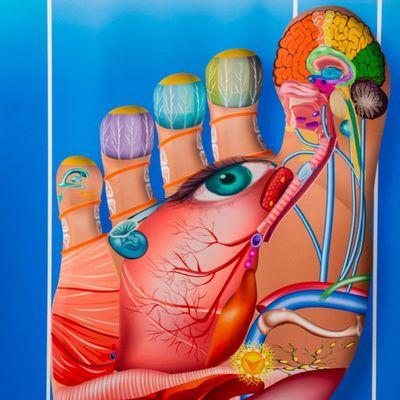 Our feet have signals that represent every system of the human body