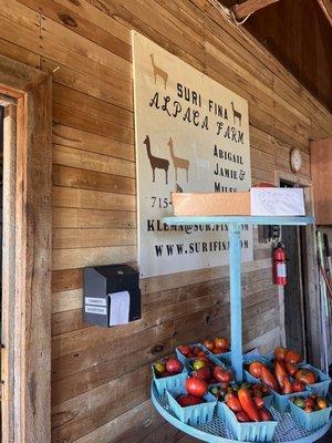 Suri Fina Alpaca Farm