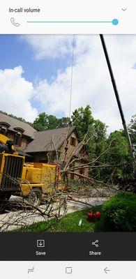 Smith's Tree Service