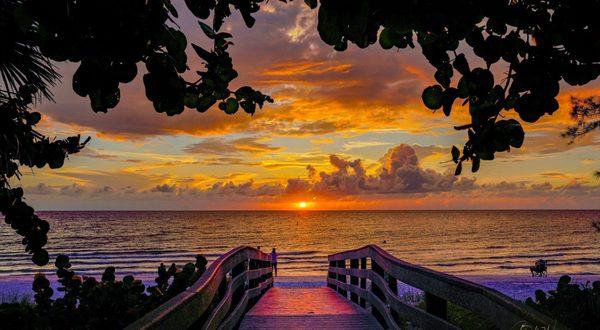 Spiritual Guidance & Learning