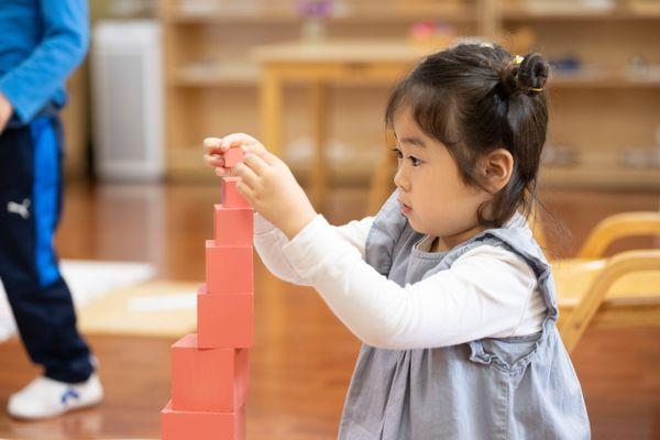 Montessori International Academy