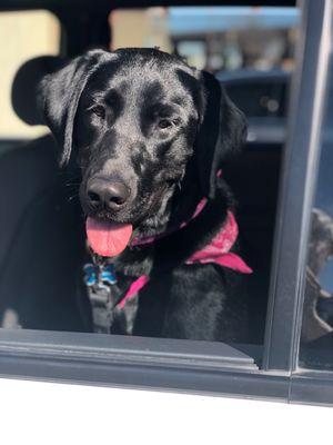 South Mountain Boarding