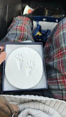 Paw print done by Kora