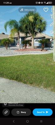 All Around Pressure Washing And Landscaping