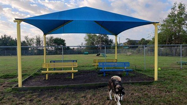 BlueStreak Dog Park