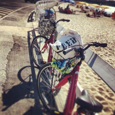 Piccozzi's Fuel Oil & Coal